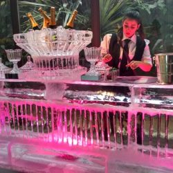 IMG_20141129_181624528_HDR