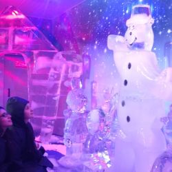 estruturas-de-gelo-para-eventos-9