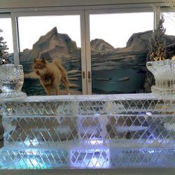 ice-bar-vic-meireles-2018-002-1